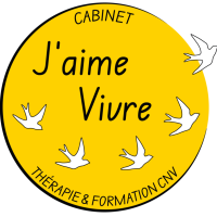 LOGO-CJV-COULEURS-CMJN-PNG-300dpi-1024x1024